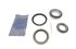 Hub Bearing Kit - Rear - GHK1015NS